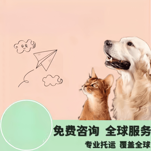 1733120105691.png